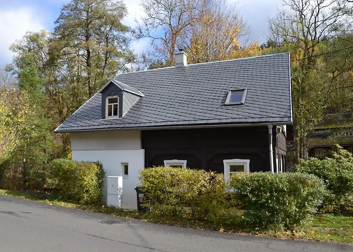 Rozmaryna Marenice
